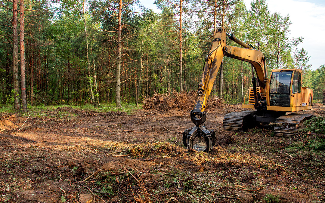 Notice of Development Activity – Tree Clearing Fernbrook Crystal (Hillsdale) Ltd. – Hometown Hillsdale